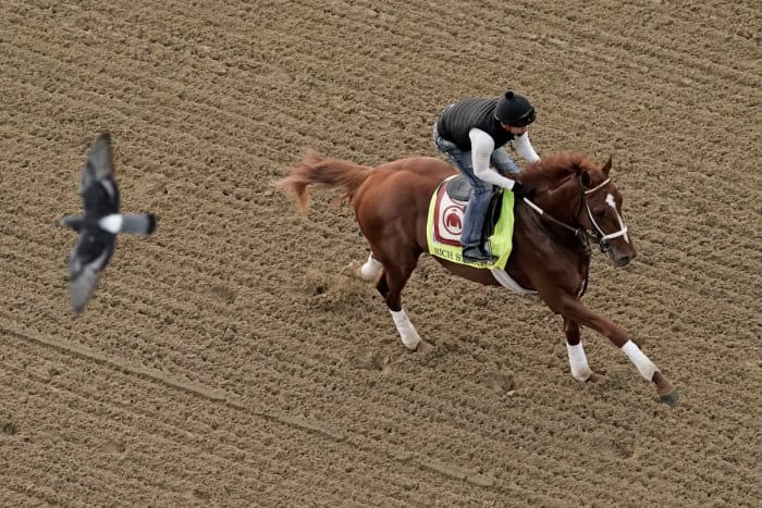 Rich Strike was set to have another practice run at Churchill Downs on Saturday to determine his Preakness status, but the overall plan changed Thursday.